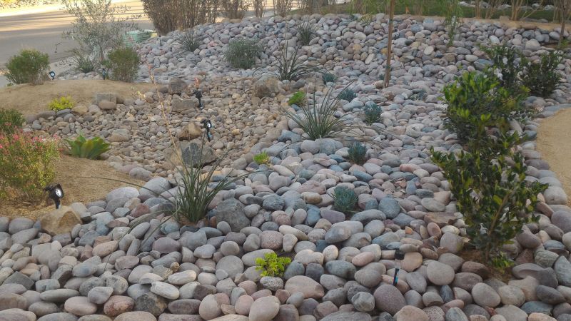 Local Xeriscaping Services pros at work