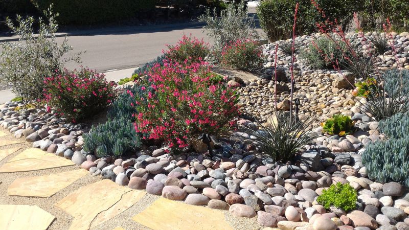 Xeriscaping Services