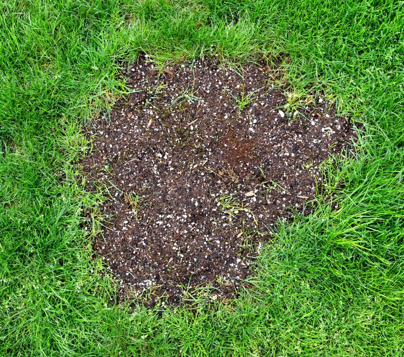 Bare Spot Repair in Honolulu, HI