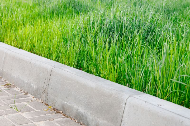 Concrete Curbing Replacement in Citrus County, FL