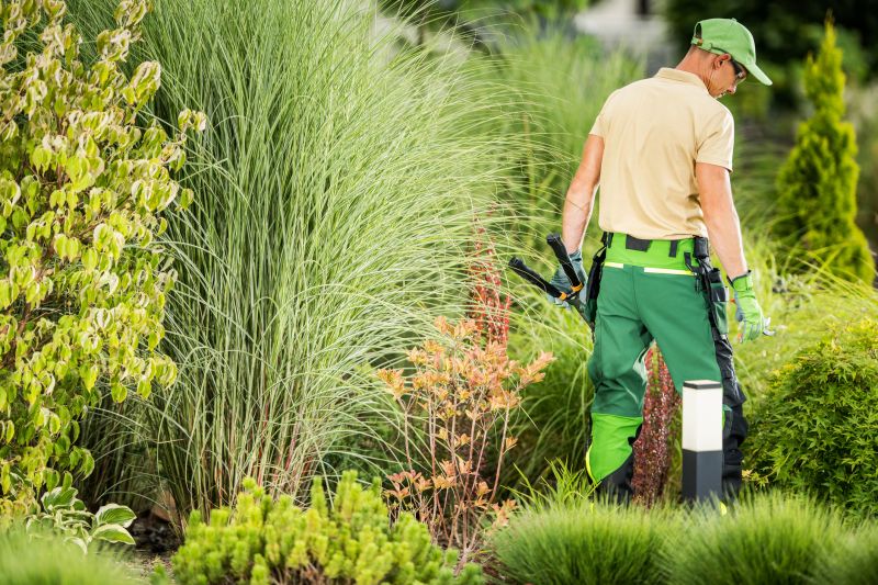 Xeriscaping Services