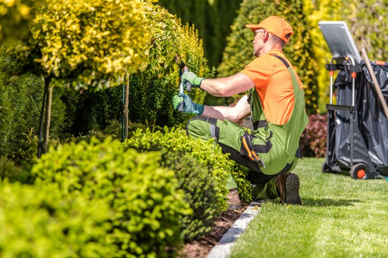 Xeriscaping Services