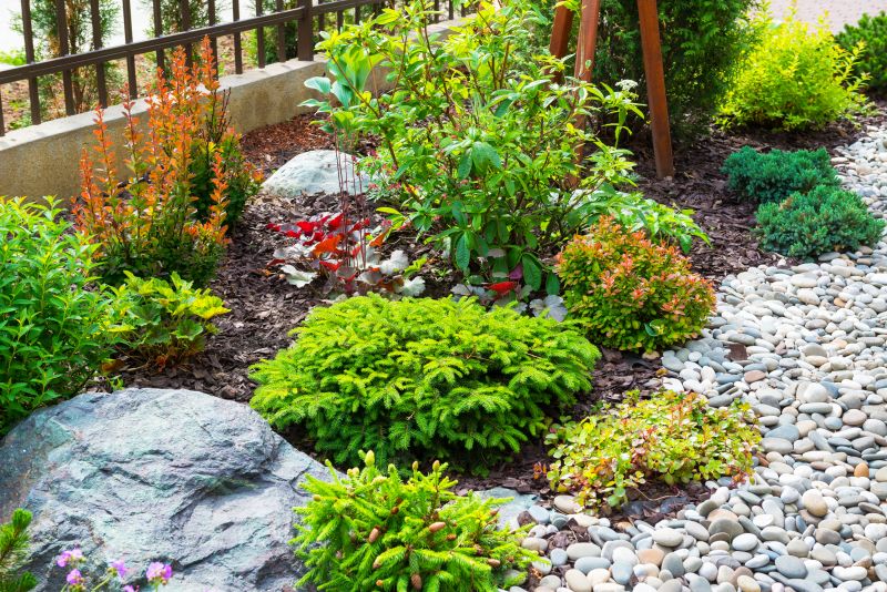 Xeriscaping Services