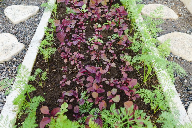 Flowerbed Curbing Installation in Citrus County, FL
