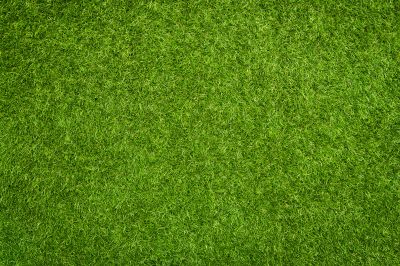 Artificial Grass Installation detail
