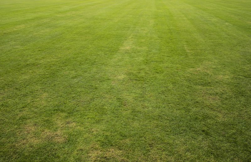 Lawn Border Installation detail