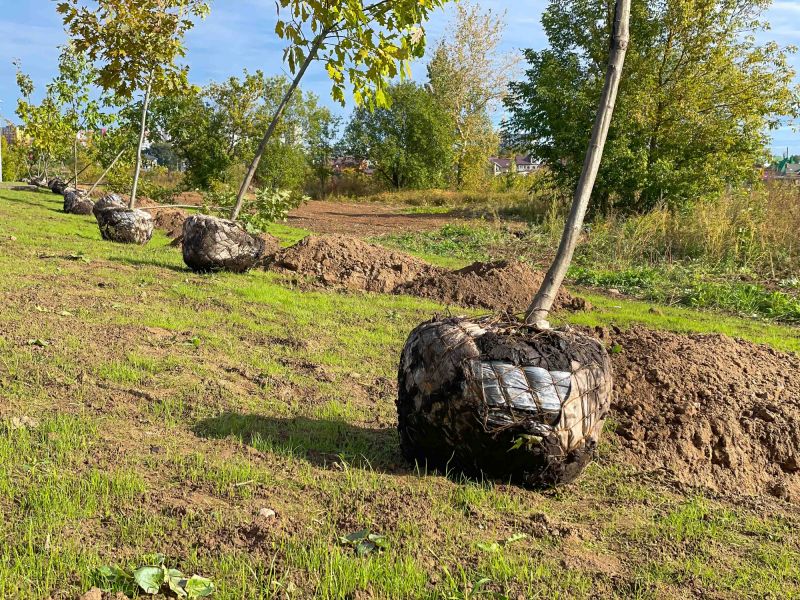 Planting Service detail