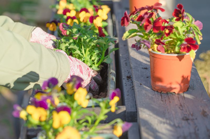 Greenery Planting in Ventura County, CA