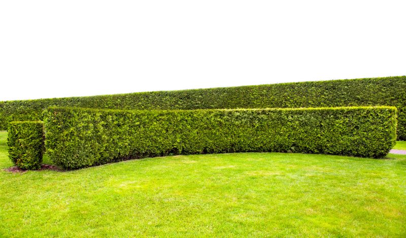 Hedge Landscaping in Honolulu, HI