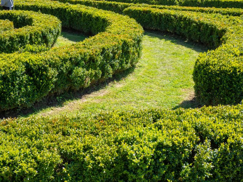Hedge Planting in Ventura County, CA