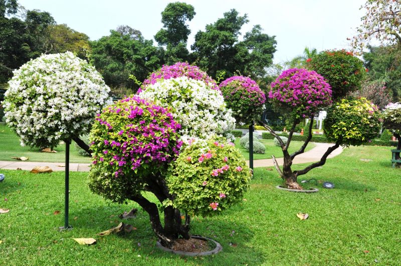 Landscape Architecture Service in Honolulu, HI