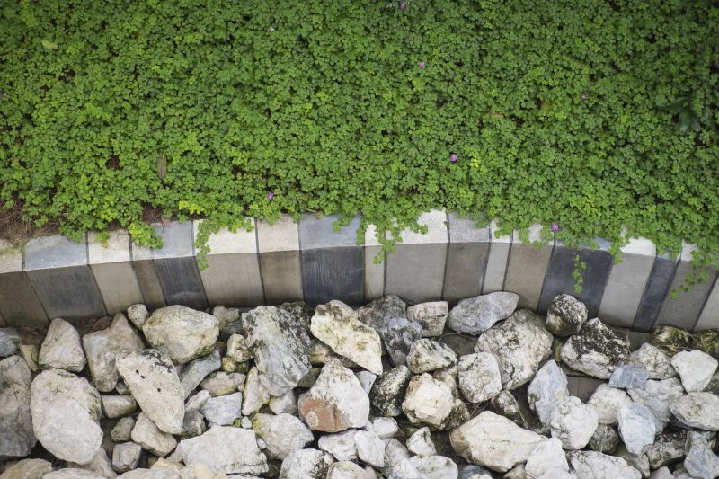 Lawn Curbing Service in Citrus County, FL