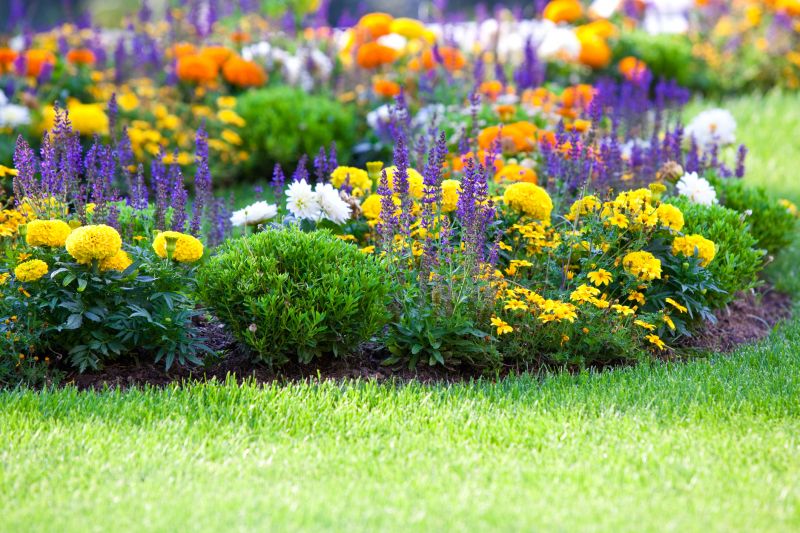 Perennials Planting in Honolulu, HI