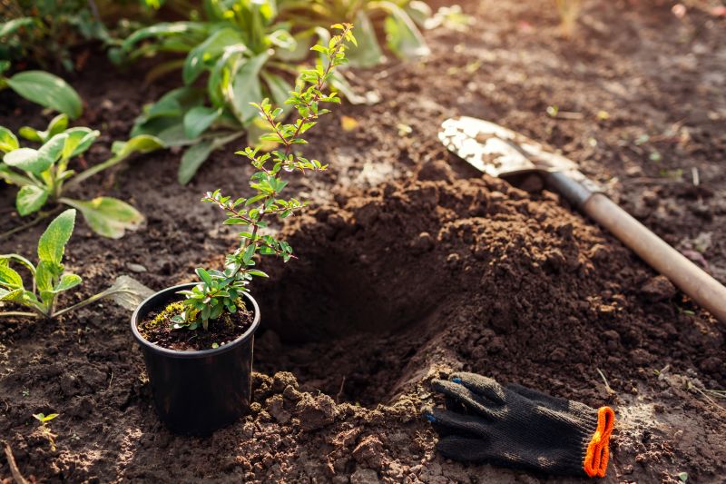 Perennials Planting in Ventura County, CA