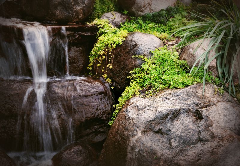 Pond Waterfall Installation in Honolulu, HI