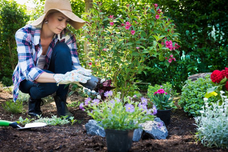 Small Garden Landscaping in Ventura County, CA