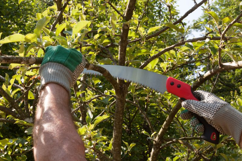 Tree Straightening Service in Reno, NV