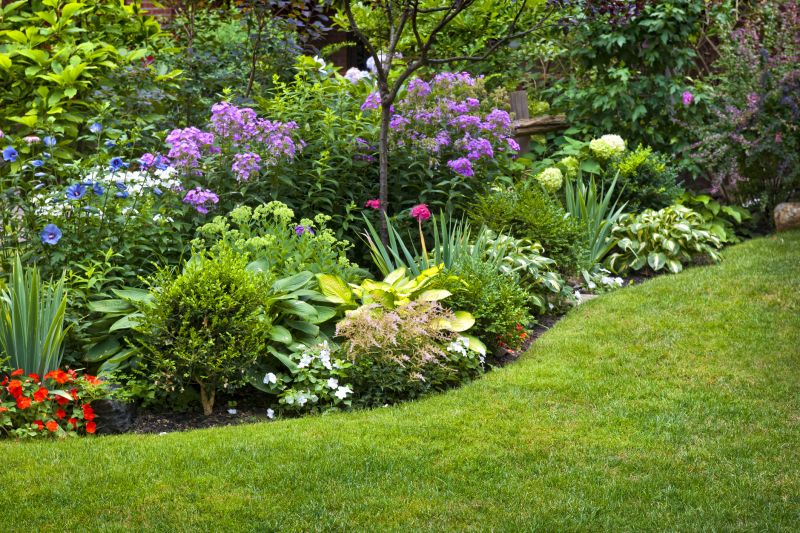 Xeriscaping Services